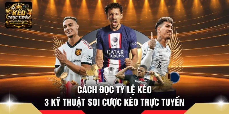 Cách Đọc Tỷ Lệ Kèo - 3 Kỹ Thuật Soi Cược Kèo Trực Tuyến 7 Cách đọc tỷ lệ kèo