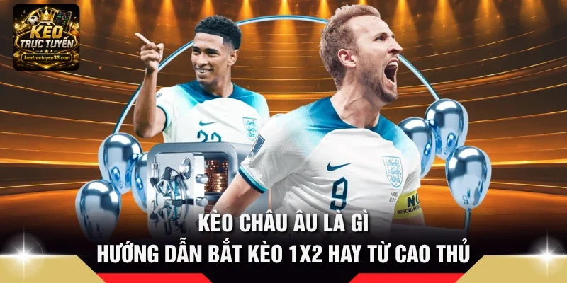 Kèo Châu Âu Là Gì - Hướng Dẫn Bắt Kèo 1x2 Hay Từ Cao Thủ 3 Kèo châu Âu là gì