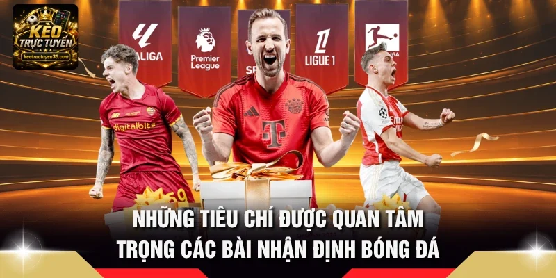 Những tiêu chí được quan tâm trọng các bài nhận định bóng đá