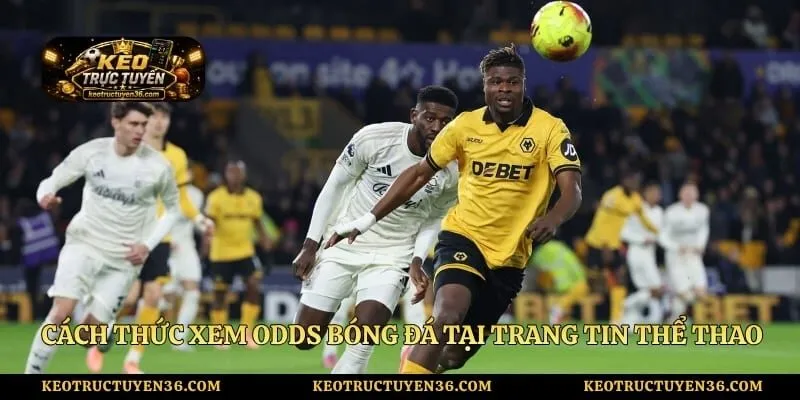 Tỷ Lệ Kèo Bóng Đá - Cập Nhật Liên Tục Giải Asian Cup Hôm Nay 4 Cách thức xem odds bóng đá tại trang tin thể thao