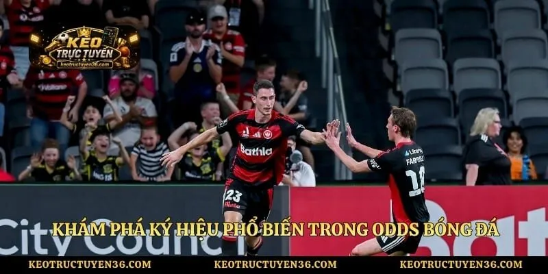 Tỷ Lệ Kèo Bóng Đá - Cập Nhật Liên Tục Giải Asian Cup Hôm Nay 3 Khám phá ký hiệu phổ biến trong odds bóng đá