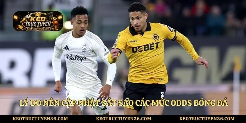 Tỷ Lệ Kèo Bóng Đá - Cập Nhật Liên Tục Giải Asian Cup Hôm Nay 2 Lý do nên cập nhật sát sao các mức odds bóng đá