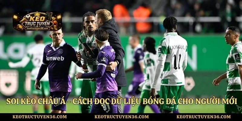 Soi Kèo Châu Á - Cách Đọc Dữ Liệu Bóng Đá Cho Người Mới 1 Soi Kèo Châu Á - Cách Đọc Dữ Liệu Bóng Đá Cho Người Mới