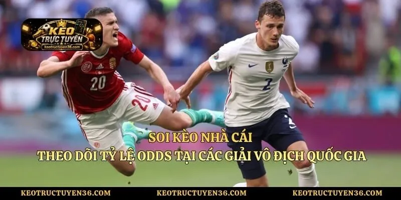 Soi Kèo Nhà Cái - Theo Dõi Tỷ Lệ Odds Tại Các Giải Vô Địch Quốc Gia 1 Soi Kèo Nhà Cái - Theo Dõi Tỷ Lệ Odds Tại Các Giải Vô Địch Quốc Gia