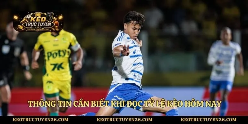 Thông tin cần biết khi đọc tỷ lệ kèo hôm nay