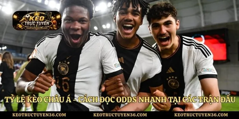 Tỷ Lệ Kèo Châu Á - Cách Đọc Odds Nhanh Tại Các Trận Đấu 1 Tỷ Lệ Kèo Châu Á - Cách Đọc Odds Nhanh Tại Các Trận Đấu