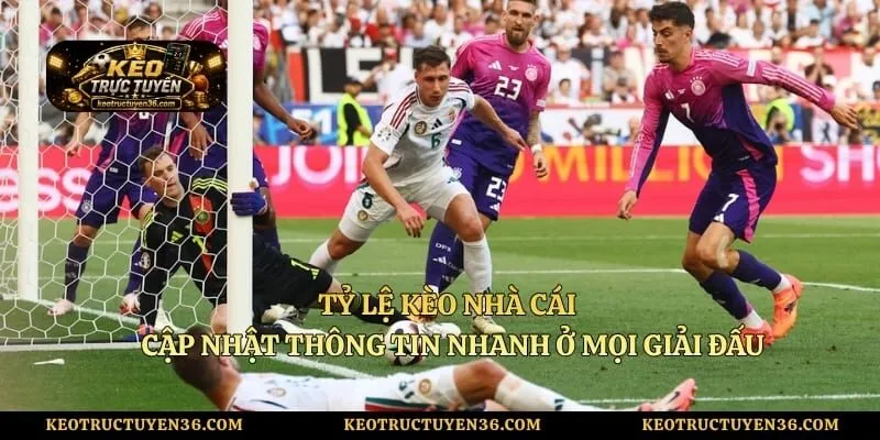 Tỷ Lệ Kèo Nhà Cái - Cập Nhật Thông Tin Nhanh Ở Mọi Giải Đấu 4 Tỷ Lệ Kèo Nhà Cái - Cập Nhật Thông Tin Nhanh Ở Mọi Giải Đấu